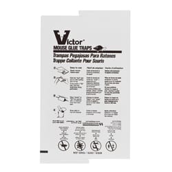 Victor Small Glue Trap For Mice 1 pk