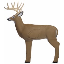 Shooter Brown Foam Archery Targets 37.5 in.