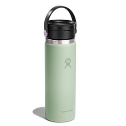 Hydroflask Sip 20 fl. oz. Aloe BPA Free Insulated Bottle