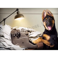 Avanti Dog At Typewriter Thank You Greeting Card Paper 1 pc