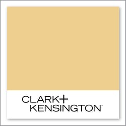 Clark+Kensington Golden Ticket 19B-4