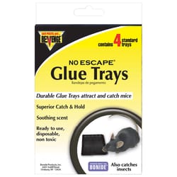 Bonide Revenge Non-Toxic Bait Tray Glue Pad For Mice and Insects 4 pk