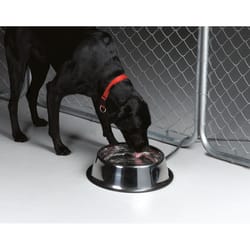 API Silver Stainless Steel 1.25 gal Heated Pet Bowl For Dog