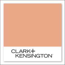Clark+Kensington Glazed Peach 12B-5