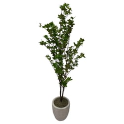 DW Silks 60 in. H X 17 in. W X 14 in. L Polyester Douban Tree in White Textured Planter