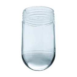 Westinghouse Other Clear Glass Shade 1 pk