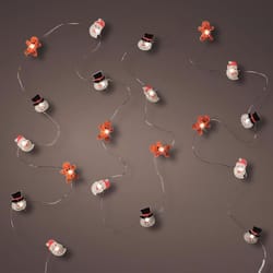 Celebrations LED Micro Dot/Fairy Clear/Warm White 20 ct Novelty Christmas Lights 6.2 ft.