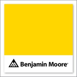Benjamin Moore Sun Kissed Yellow 2022-20