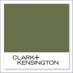 Clark+Kensington Queen Agave 27B-7