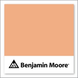 Benjamin Moore Toffee Orange 2167-40