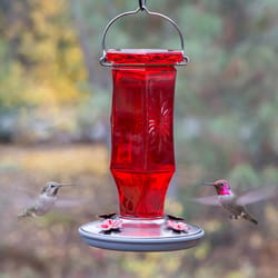 Perky-Pet Hummingbird 16 oz Glass Vintage Nectar Feeder 4 ports