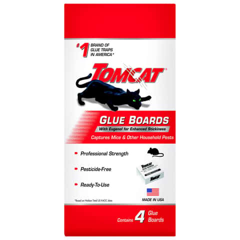  Tomcat Attractant Gel, Attracts Mice and Rats, Great  Alternative to Cheese or Peanut Butter, 1 oz. : Sports & Outdoors