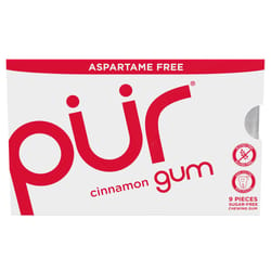 PUR Sugar Free Cinnamon Chewing Gum 1 pk 9 pc