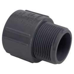 Charlotte Pipe 1-1/2 in. Slip X 1-1/2 in. D MPT PVC Adapter 1 pk