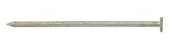 Ace 16D 3-1/2 in. Box Hot-Dipped Galvanized Steel Nail Flat Head 5 lb