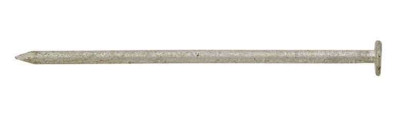 Ace 16D 3-1/2 in. Box Hot-Dipped Galvanized Steel Nail Flat Head 5 lb Ace 16D 3-1/2 in. Box Hot-Dipped Galvanized Steel Nail Flat Head 5 lb