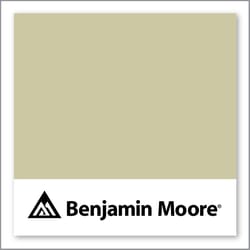 Benjamin Moore Dried Parsley 522