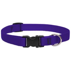 Lupine Pet Basic Solids Purple Purple Nylon Dog Adjustable Collar