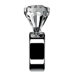 Kilo Clear/Silver Plastic/Stainless Steel Wine Drip Collar
