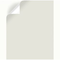 Magnolia Home by Joanna Gaines  Shiplap  Peel & Stick Color Sample  MAG010 