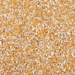 Ace Songbird Corn Cracked Corn 4 lb