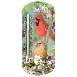 Taylor Bird Design Tube Thermometer Plastic 8 in.