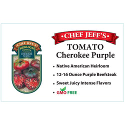 Chef Jeff Purple Heirloom Cherokee Tomato Vegetable Plant