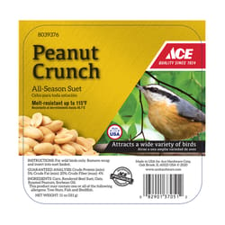Ace Peanut Crunch Assorted Species Bee