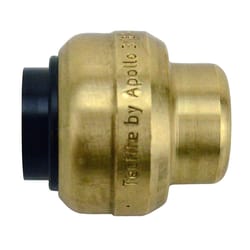 Apollo Tectite Push to Connect 3/8 in. PTC in to Brass Cap