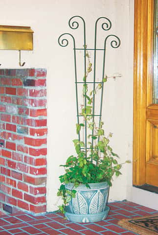 Panacea 48 in. H Black Steel Trellis - Ace Hardware