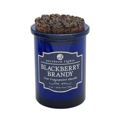 Northern Lights Spirit Jars Blue Blackberry Brandy Scent Frangrance Candle