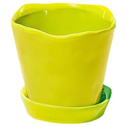 Chive Tika 3 in. D Ceramic Succulent Pot Green Sheen