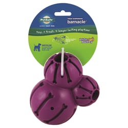 PetSafe Busy Buddy Purple Rubber Barnacle Treat Holding Toy Medium 1 pc