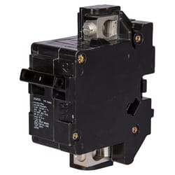 Siemens 100 amps Standard 2-Pole Circuit Breaker