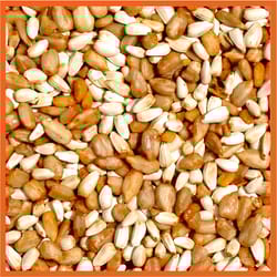 Cole's Cajun Cardinal Assorted Species Sunflower Meats Wild Bird Food 10 lb
