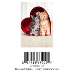 Avanti Press, Inc. Two Kittens In Heart Box Greeting Cards Paper 1 pk