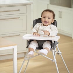 Regalo My Portable High Chair Gray Metal/Nylon Portable Booster Seat 1 pk