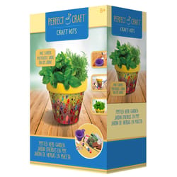 SD Toyz Perfect Craft Pot Herb Garden Multicolored