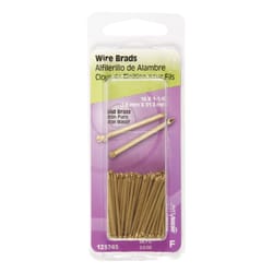 HILLMAN 16 Ga. X 1-1/4 in. L Brass Brad Nails 1 pk 2 oz