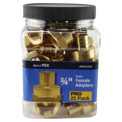 Apollo PEX 3/4 in. PEX Barb in to X 3/4 in. D FPT Brass Adapter