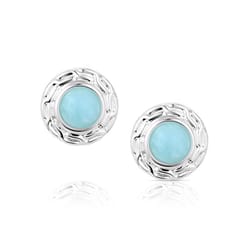 Montana Silversmiths Women's Springtime Embrace Silver/Turquoise Earrings