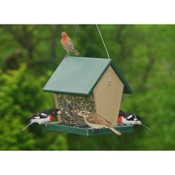 Songbird Essentials 2.5 qt Plastic Bird Feeder