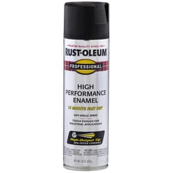 Rust-Oleum Professional Flat Black Spray Paint 15 oz