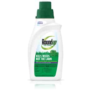Roundup  For Lawns  Concentrate  Weed Killer  32 oz. 