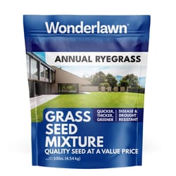 Barenbrug Annual Ryegrass Partial Shade/Sun Grass Seed 10 lb