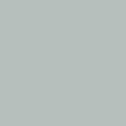 Samplize Benjamin Moore Beach Glass Peel & Stick Color Sample 1564