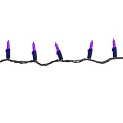 Celebrations Purple 100 ct LED Mini Halloween String Lights
