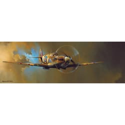 Eurographics Spitfire Jigsaw Puzzles Multicolored 1000 pc