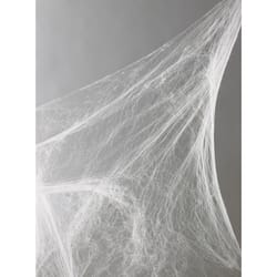 Fun World 18 in. Spider Web Halloween Decor