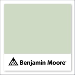 Benjamin Moore Pine Barrens 437